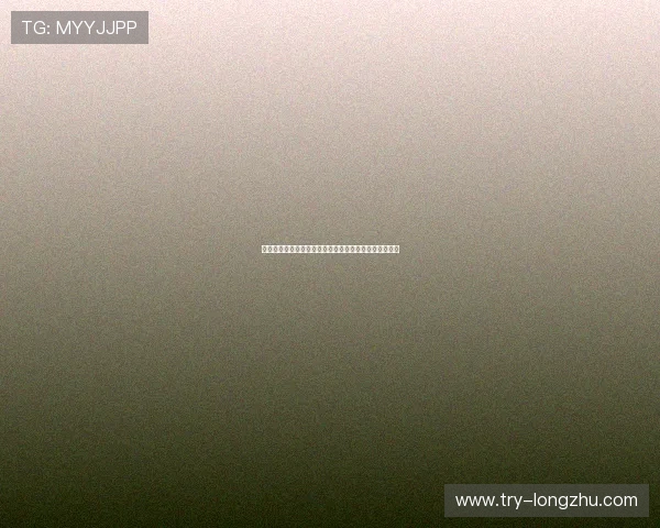 迪马济奥:罗马难以满足狼队对法比奥席尔瓦的转会要价 迪马济奥:罗马难以满足狼队对法比奥席尔瓦的转会要价